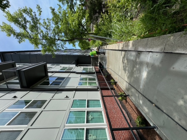 Trusted Commercial Sidewalk Pressure Washing in Nashville, Tennessee
